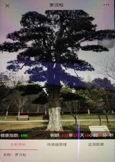 基于物聯(lián)網(wǎng)技術(shù)的古樹名木保護(hù) 監(jiān)測系統(tǒng)投入... 